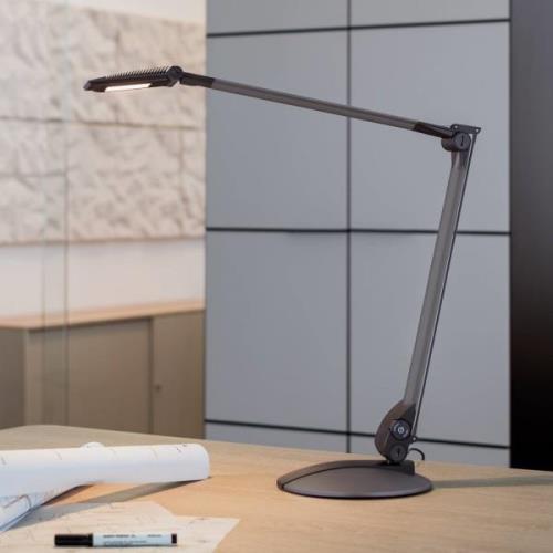 MAULoptimus LED bureaulamp, antraciet, voet