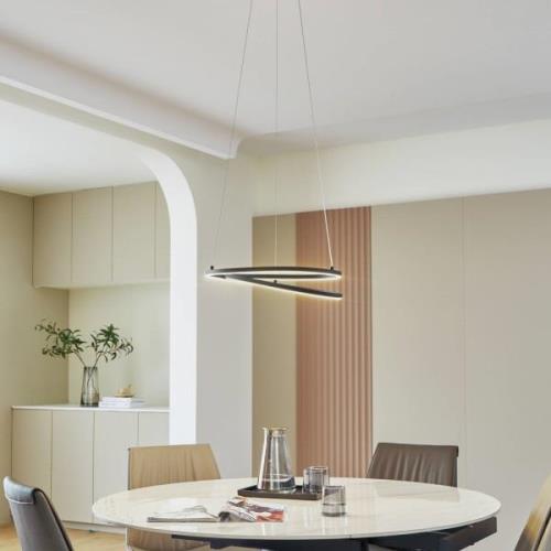 Lindby Raycho LED hanglamp, dimbaar, zwart