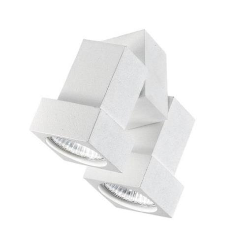 Plafond- of wandspot STYLE Q 2-lamps wit