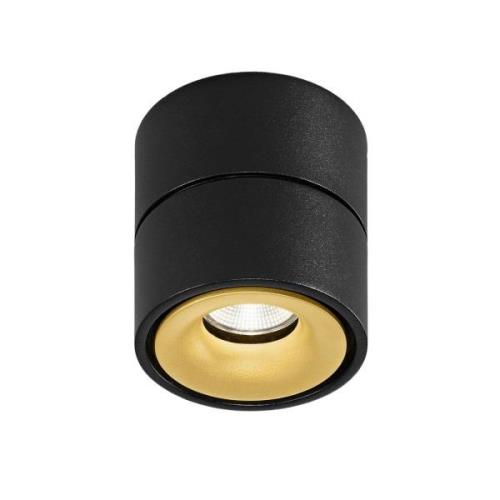 Egger Clippo LED plafondspot, zwart-goud, 3.000K