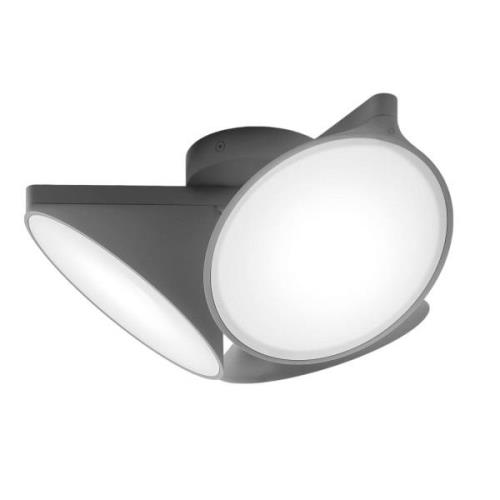 Axolight Orchid LED plafondlamp, donkergrijs