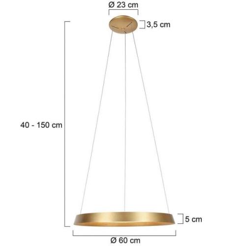 Ringlux hanglamp, 1-lamp, goudkleurig, metaal