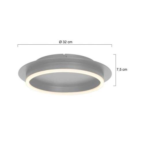 Ringlux plafondlamp, staalkleurig, Ø 32 cm, metaal