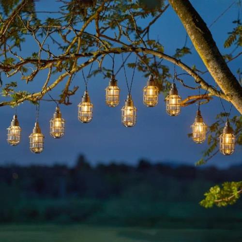 LED lichtketting Anglia 365, 10-lamps