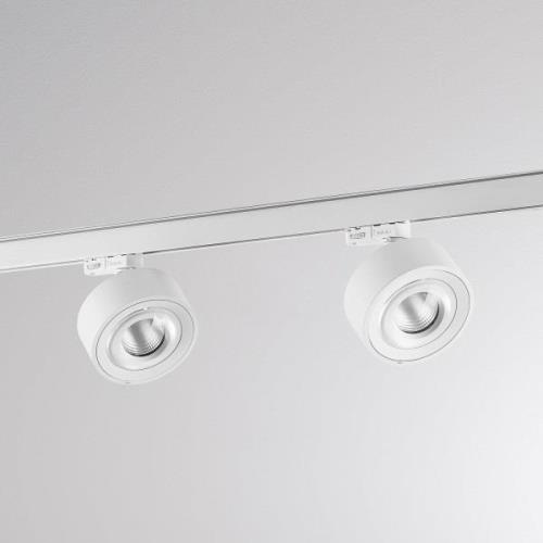 Molto Luce LED railsysteem Mag, wit, 830